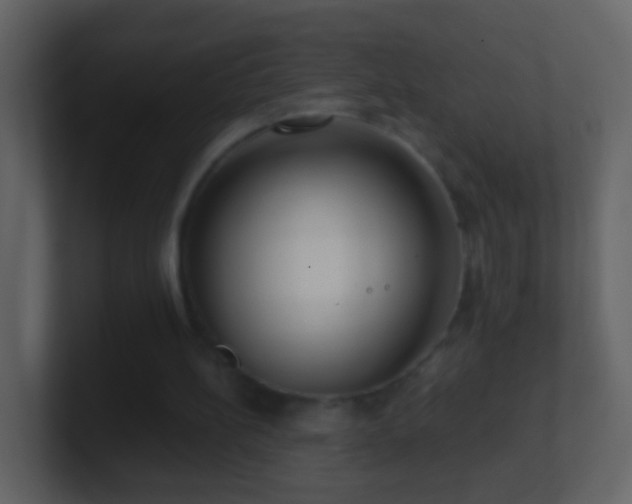 X0000101410148200807071302