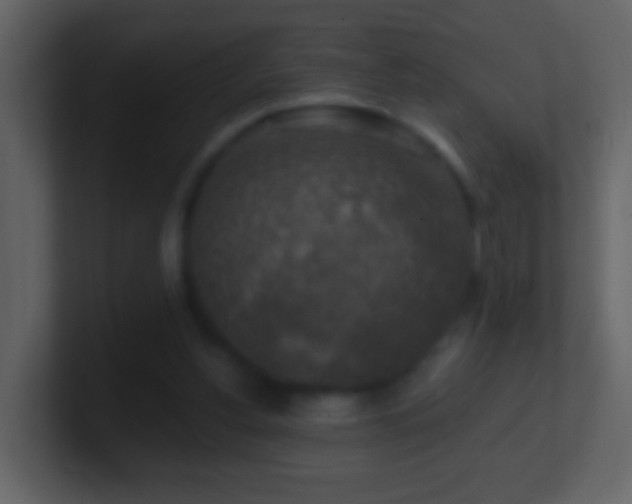 X0000101410156200807071302