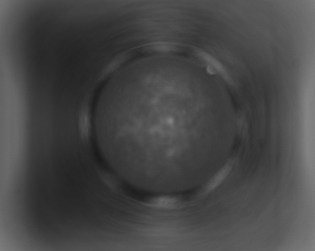 X0000101410158200807071302