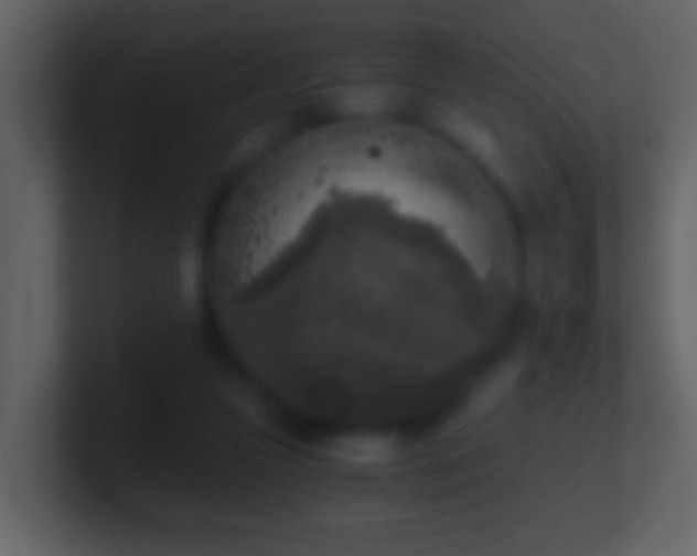 X0000101410161200807071302