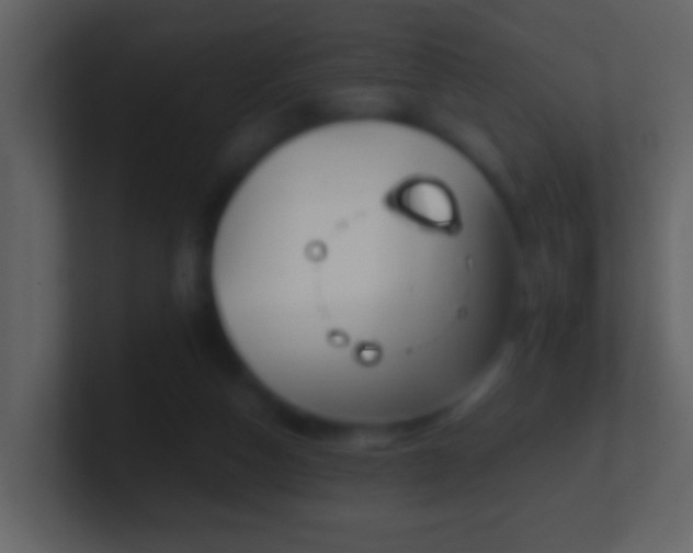 X0000101410162200807071302