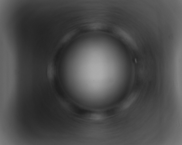 X0000101410164200807071302
