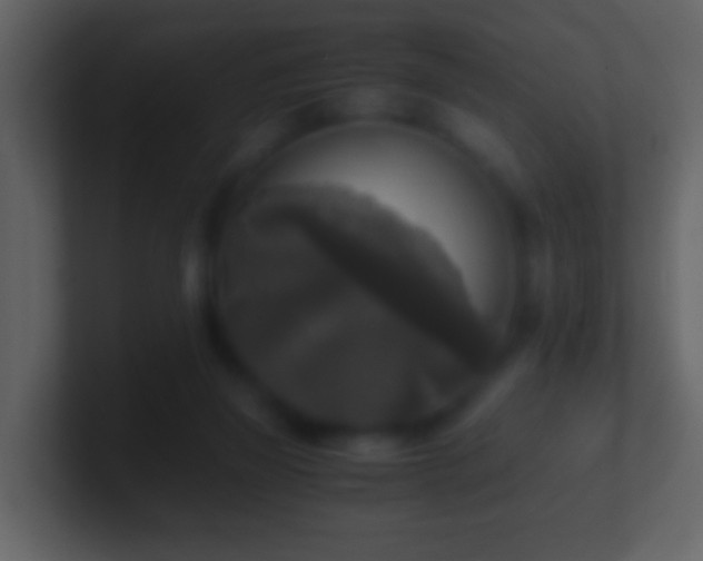 X0000101410165200807071302