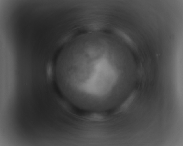 X0000101410166200807071302