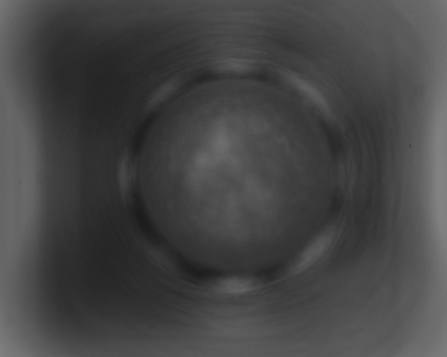 X0000101410168200807071302