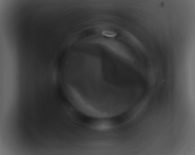 X0000101410169200807071302