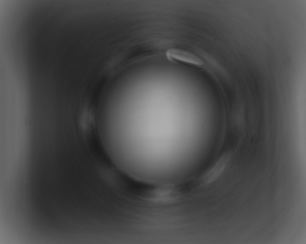 X0000101410172200807071302