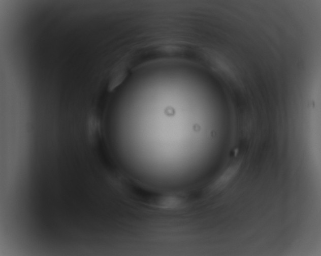 X0000101410176200807071302