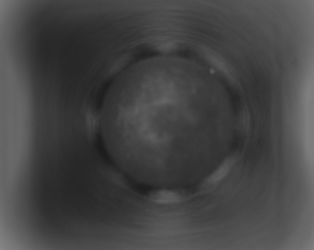 X0000101410180200807071302