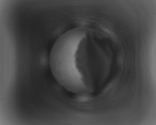 X0000101410181200807071302