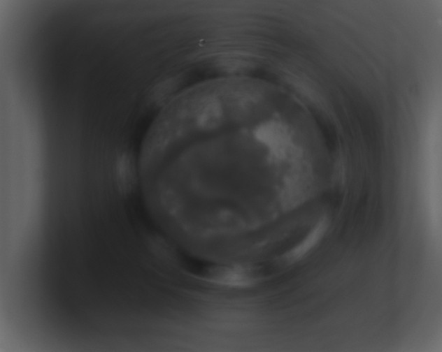 X0000101410182200807071302