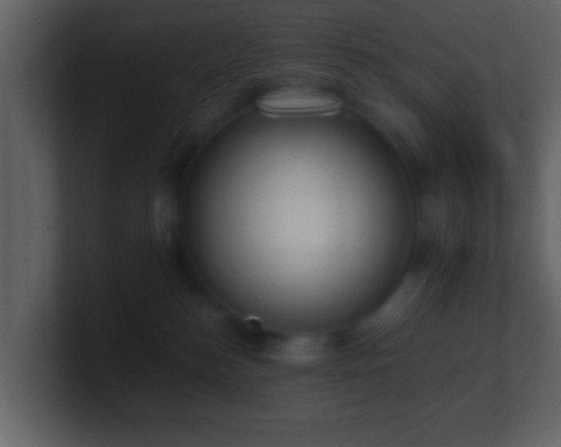 X0000101410184200807071302