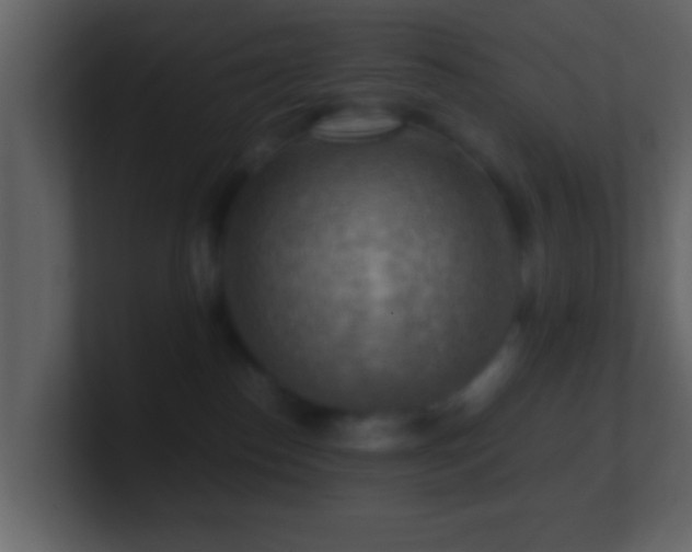 X0000101410186200807071302