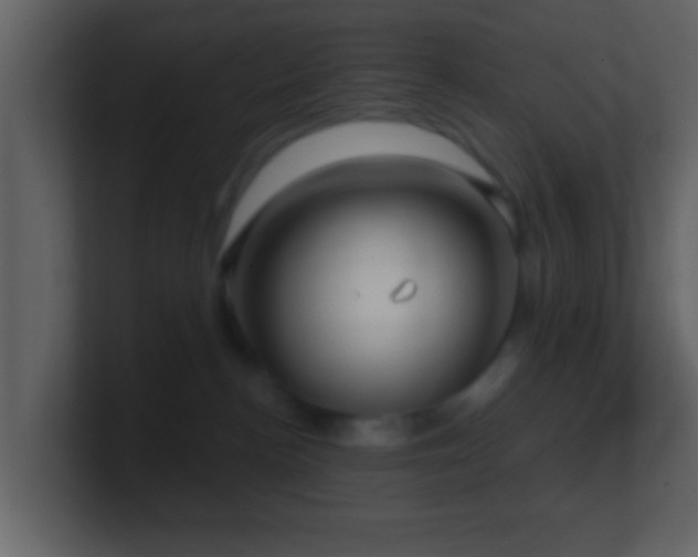 X0000101410188200807071302