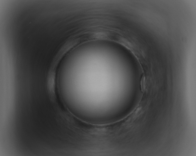 X0000101410194200807071302