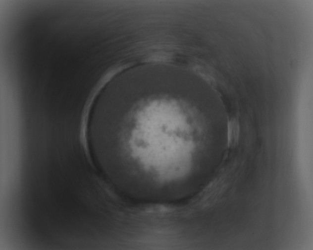 X0000101410195200807071302