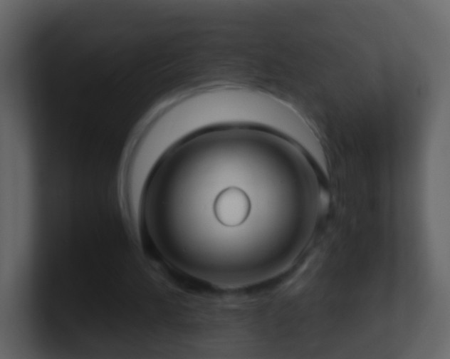 X0000101410196200807071302