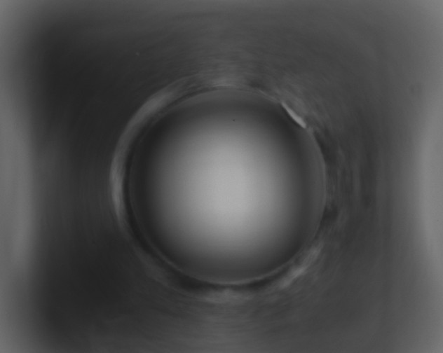 X0000101410197200807071302