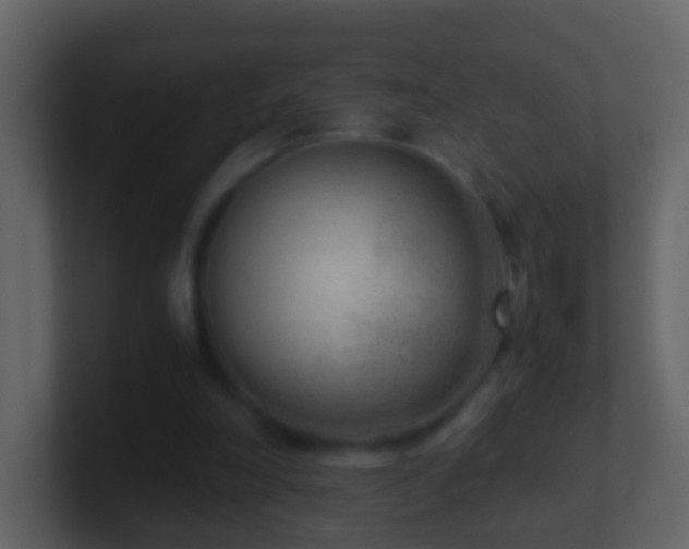X0000101410198200807071302