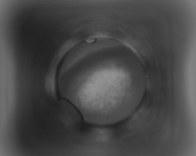 X0000101410199200807071302
