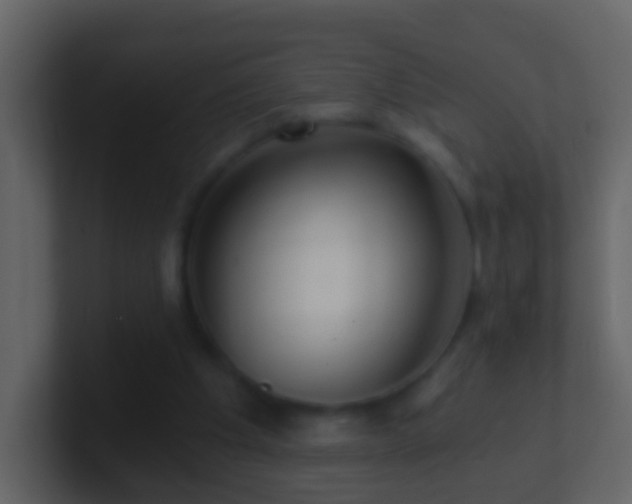 X0000101410201200807071302