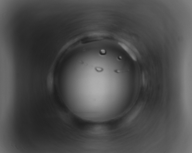 X0000101410204200807071302