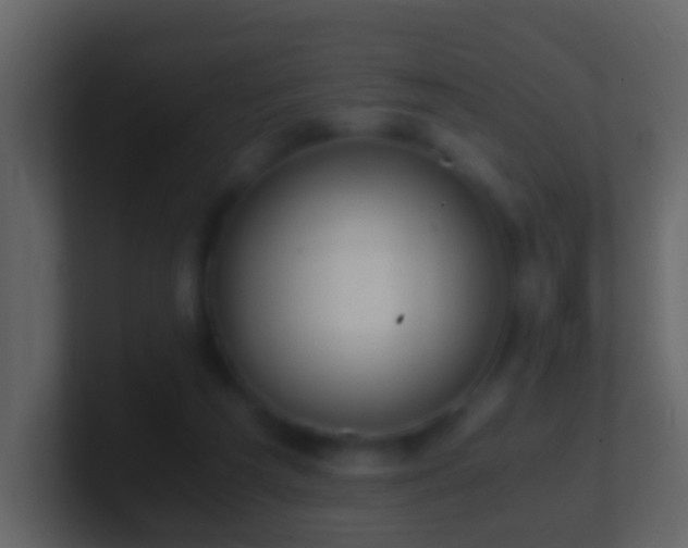 X0000101410209200807071302