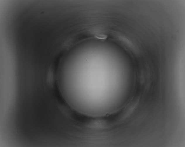 X0000101410210200807071302