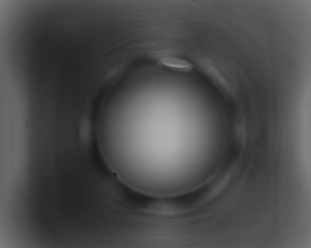 X0000101410211200807071302