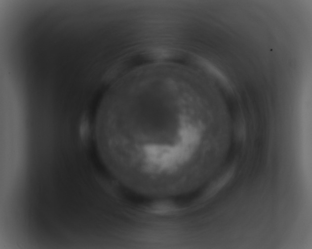 X0000101410214200807071302