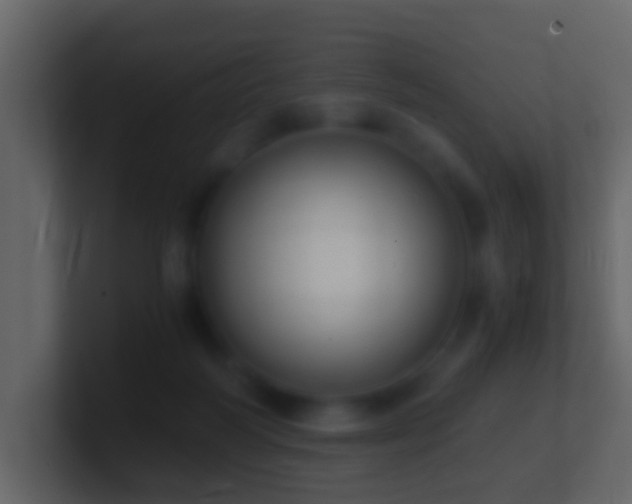 X0000101410218200807071301