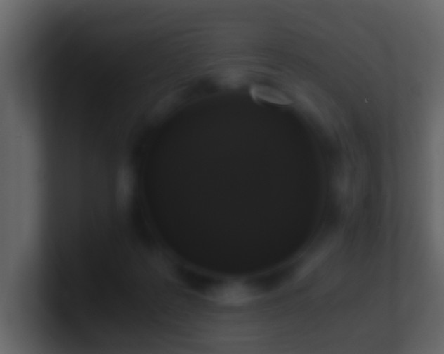 X0000101410219200807071301