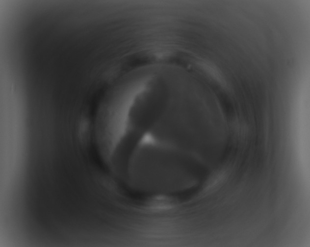 X0000101410222200807071301