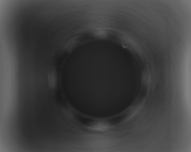 X0000101410223200807071301