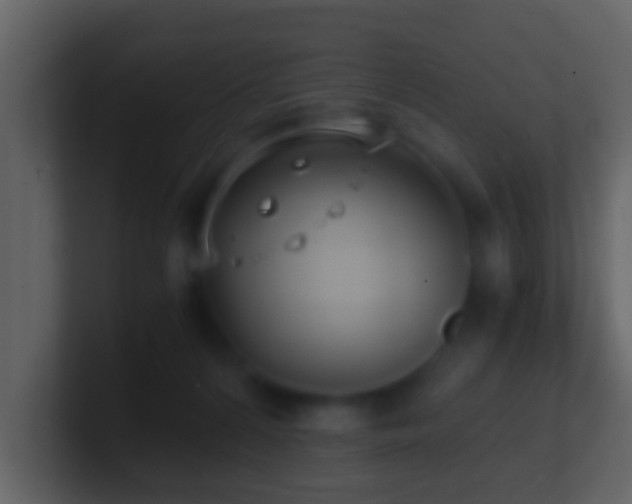 X0000101410224200807071301