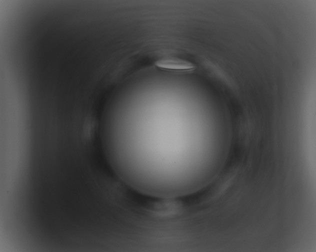 X0000101410225200807071301