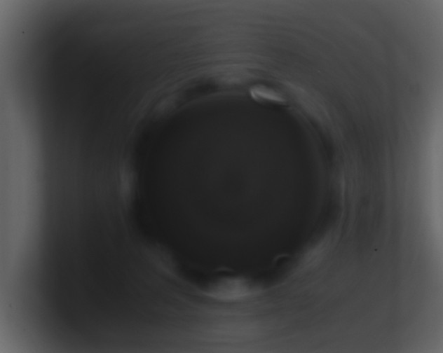 X0000101410227200807071301