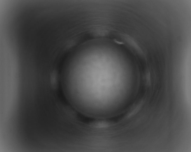 X0000101410228200807071301