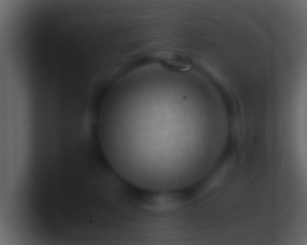 X0000101410229200807071301