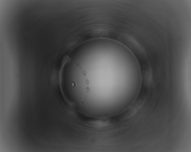 X0000101410232200807071301