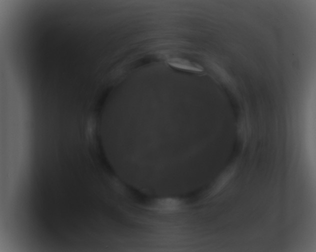 X0000101410233200807071301