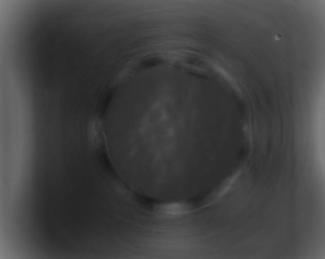 X0000101410237200807071301