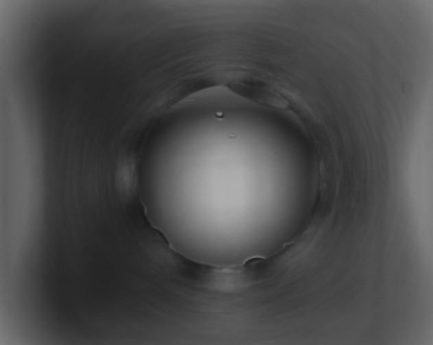 X0000101410240200807071301