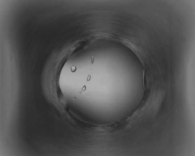 X0000101410241200807071301