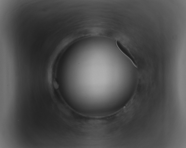 X0000101410242200807071301