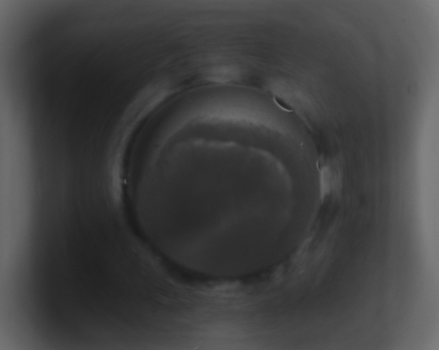 X0000101410243200807071301