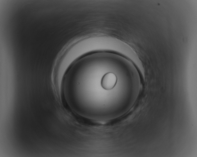 X0000101410244200807071301