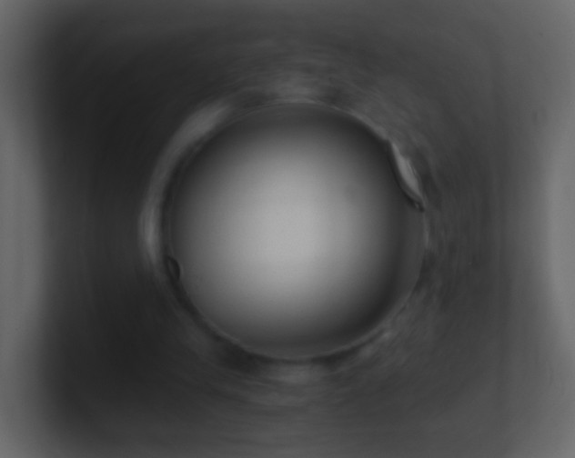 X0000101410245200807071301