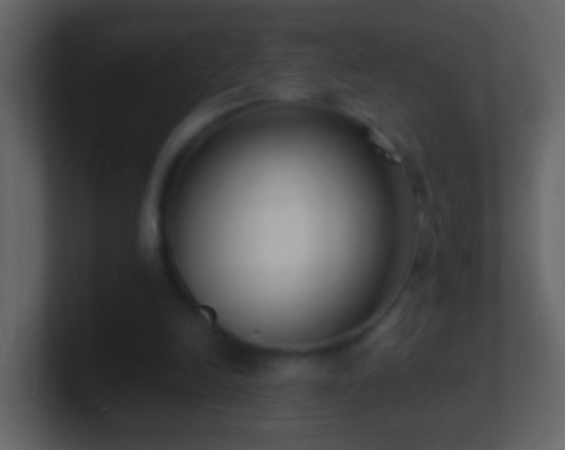X0000101410246200807071301