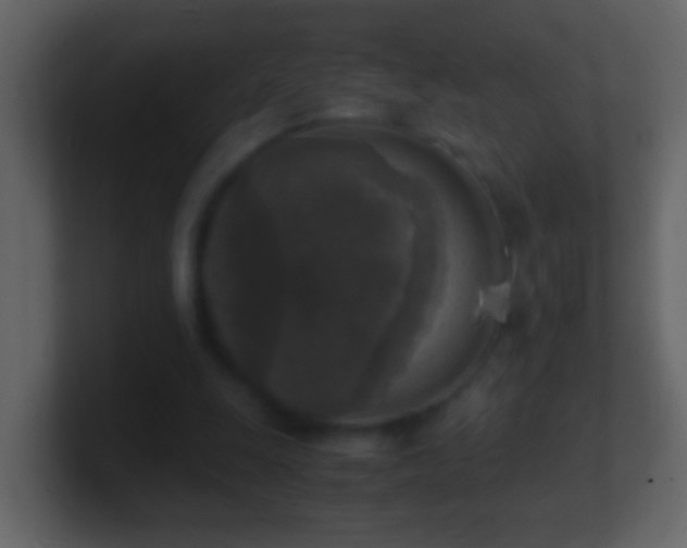 X0000101410247200807071301